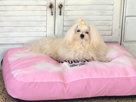 Consejos de Bichoneras