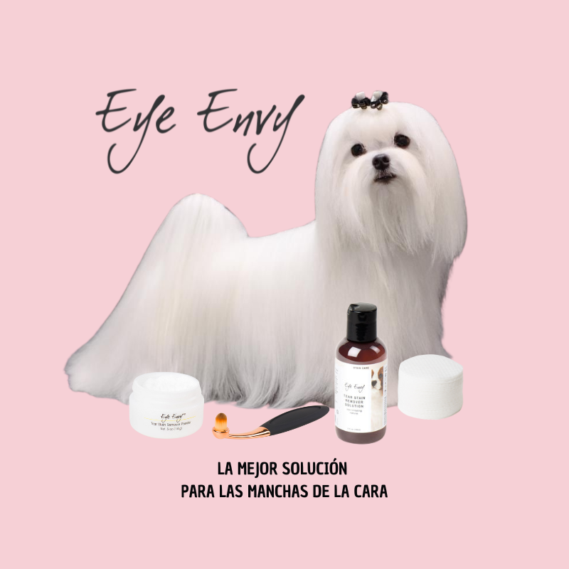 Eye Envy para perros: guía completa, cómo funciona y preguntas frecuentes