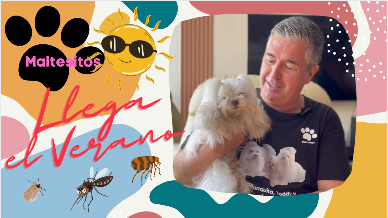LLEGA EL VERANO y el sol caliente y los bichos...