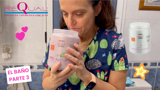 reQual - EL BAÑO DEL BICHÓN MALTÉS PARTE 3