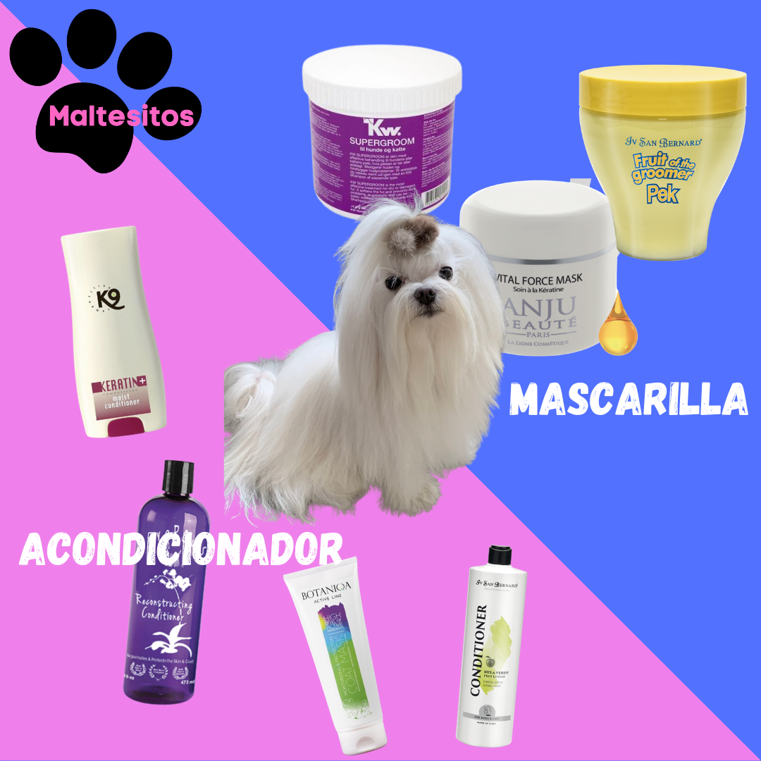 ACONDICIONADORES Y MASCARILLAS PARA EL BICHÓN MALTÉS