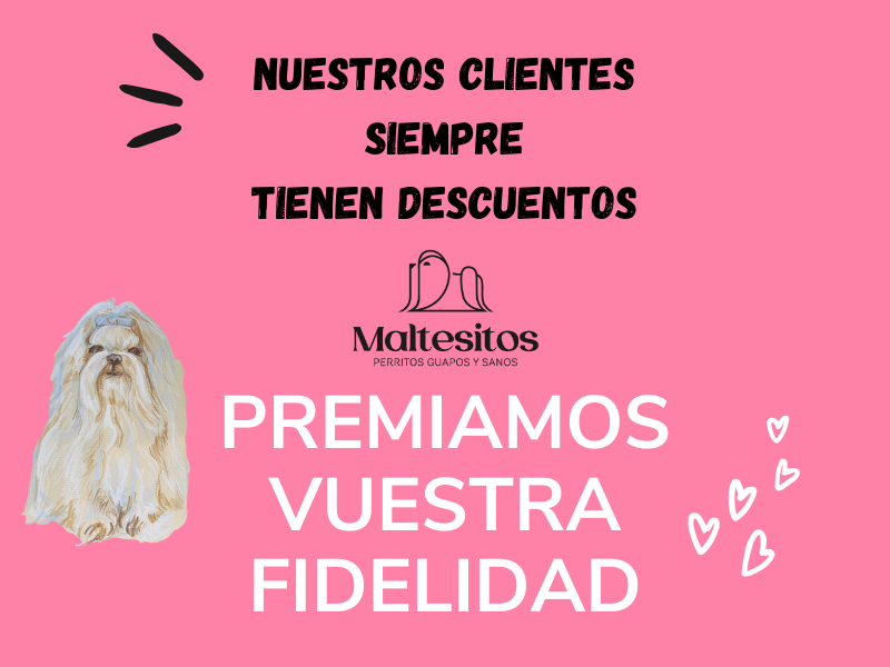 PROGRAMA PUNTOS DE FIDELIDAD