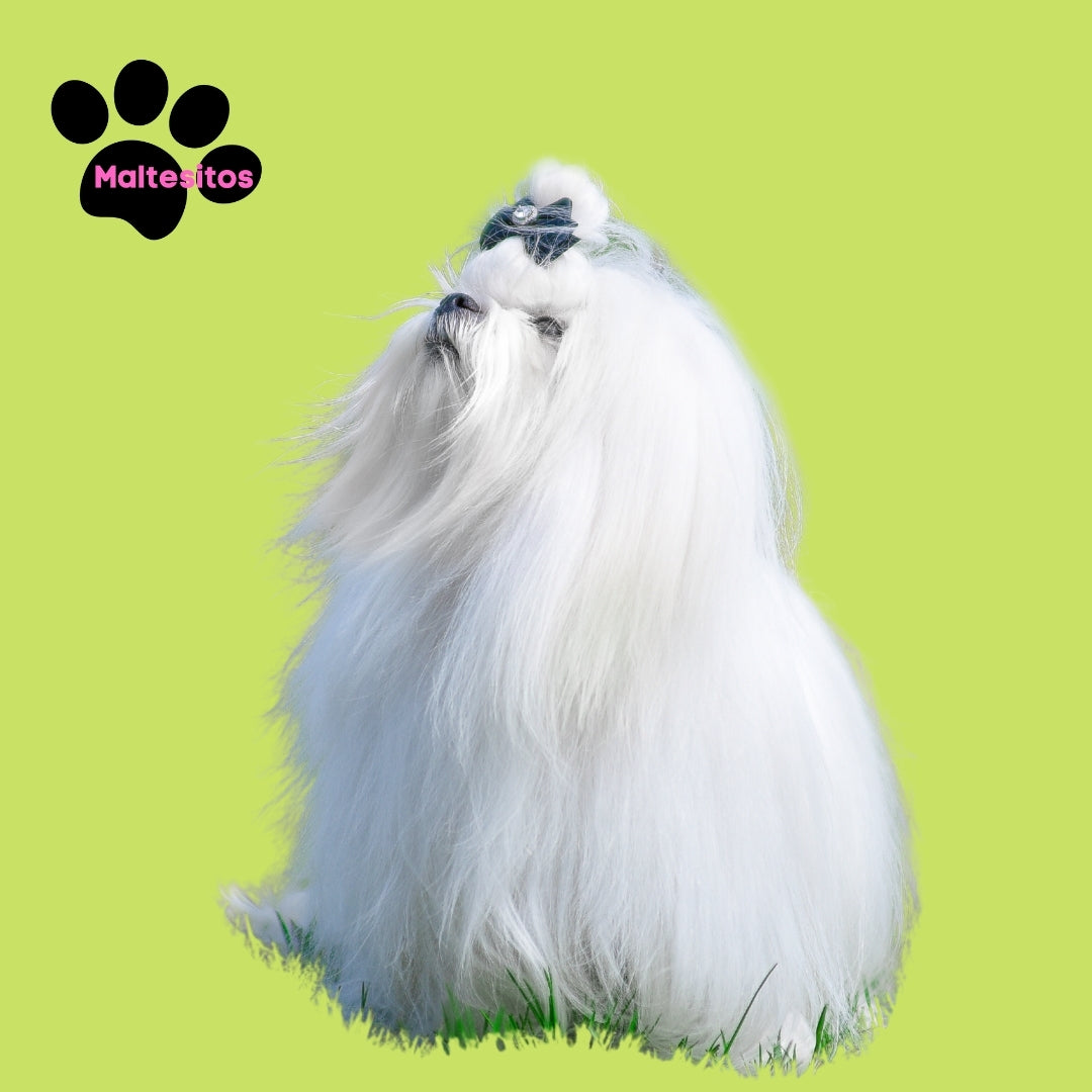 El calor y los Nudos