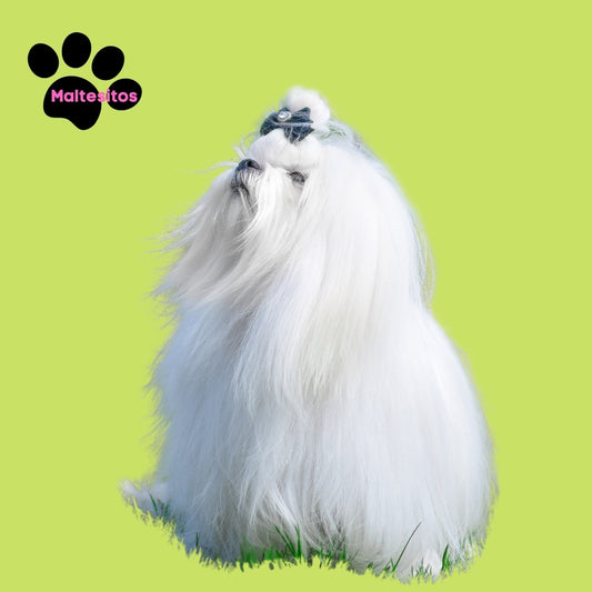 El calor y los Nudos