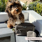 COCOPUP Walking Bag