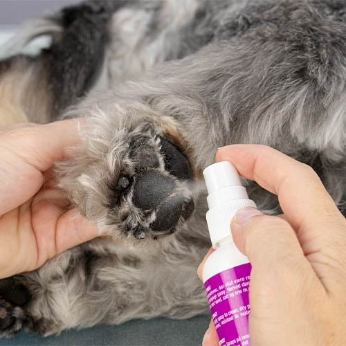 Spray Reparador de Almohadillas con Aloe Vera