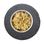 SANADOG Natural Wet Salmon Food with Spinach, Berries, and Herbs