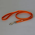 Nylon Walking Leash