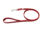 Nylon Walking Leash