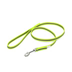 Nylon Walking Leash