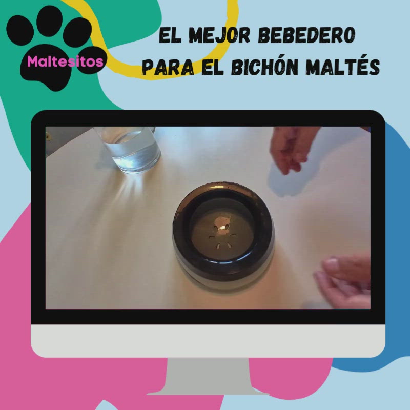 Bebedero Antigoteo